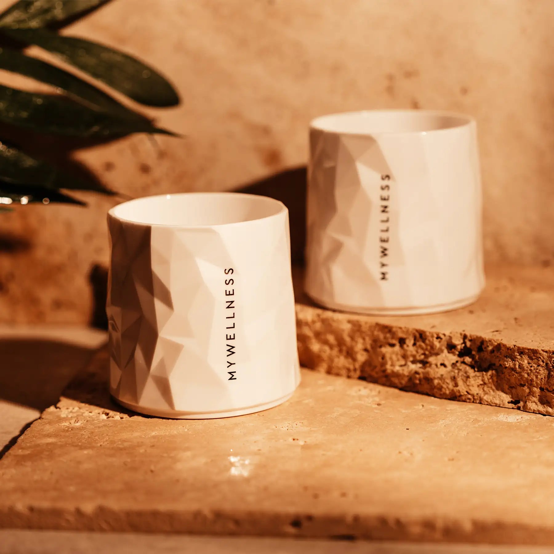 Zwei weiße MYWELLNESS-Becher auf Natursteinuntergrund im warmen Licht, mit grünem Pflanzenakzent im Hintergrund.